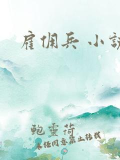雇佣兵 小说