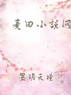 麦田小说网
