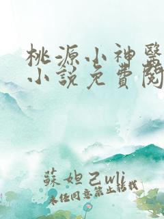 桃源小神医王晨小说免费阅读