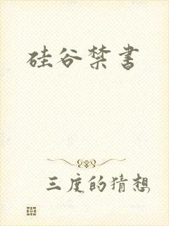 硅谷禁书