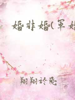 婚非婚(军婚)