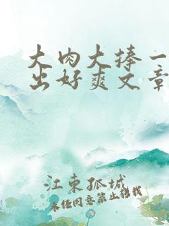 大肉大捧一进一出好爽文章