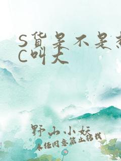 S货是不是想挨C叫大