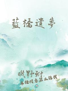 蓝桥遗梦