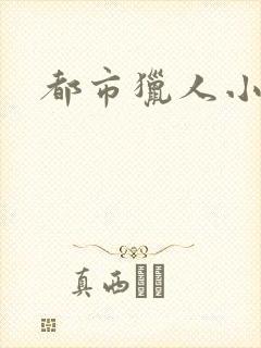 都市猎人小说