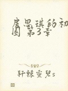 房思琪的初恋乐园 第3章