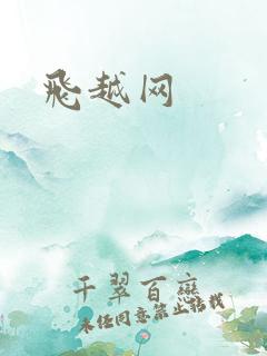 飞越网