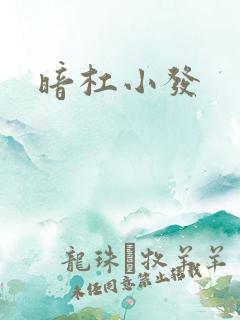 暗杠小发