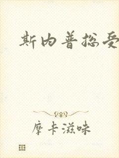 斯内普总受