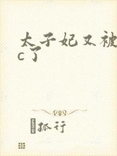 太子妃又被皇帝c了