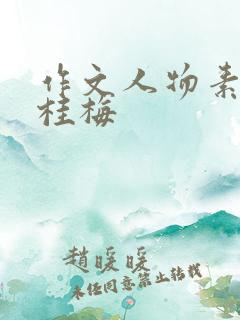 作文人物素材张桂梅