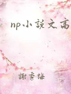 np小说文高辣