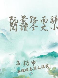 阮景路南辞免费阅读全文小说