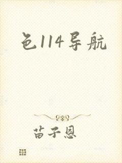 色114导航