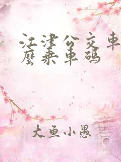 江津公交车刷什么乘车码