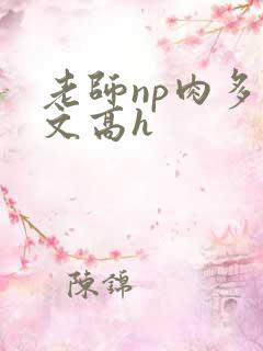老师np肉多荤文高h