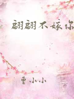 翩翩不嫁你2