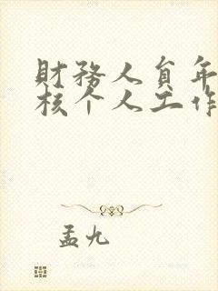 财务人员年度考核个人工作总结