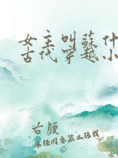 女主叫苏什么的古代穿越小说