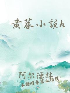 黄蓉小说h
