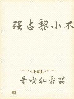 强占黎小不