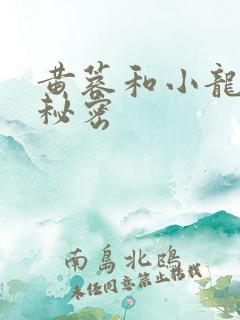黄蓉和小龙女的秘密