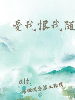 爱我恨我随便你