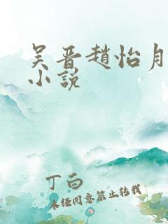 吴晋赵怡月婶娘小说