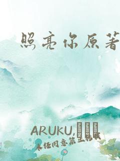 照亮你原著小说