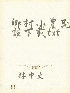 乡村小农民 小说下载txt