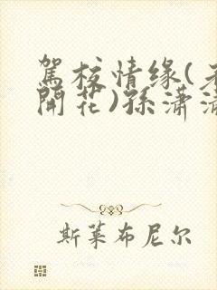 驾校情缘(老树开花)孙潇潇笔趣阁