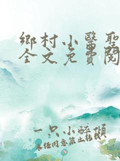 乡村小医圣小说全文免费阅读