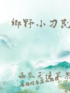乡野小刁民在线