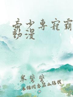 帝少专宠霸道妻动漫