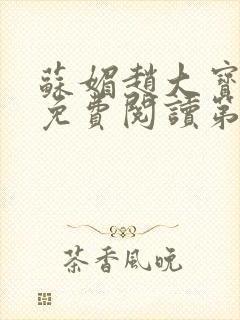 苏媚赵大宝小说免费阅读第六章