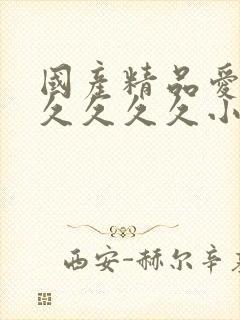 国产精品爱久久久久久久小说