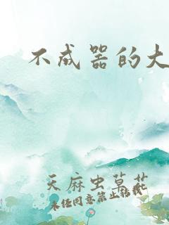 不成器的大哥