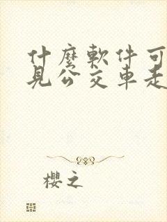 什么软件可以看见公交车走到哪里了