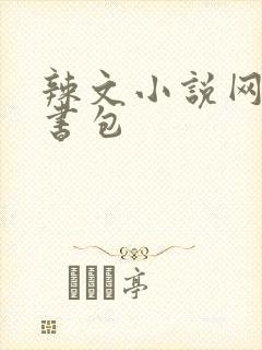 辣文小说网第二书包