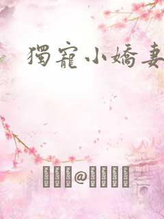 独宠小娇妻