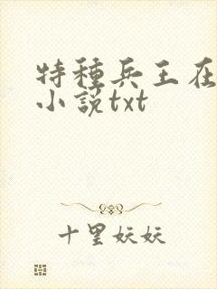 特种兵王在山村小说txt