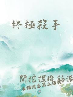终极杀手