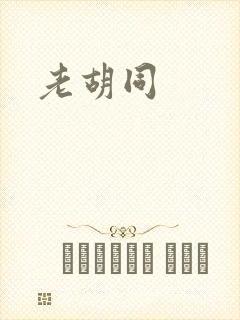 老胡同