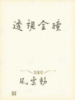 透视金瞳