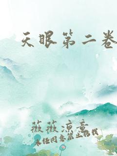 天眼第二卷
