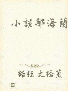 小说那海兰珠