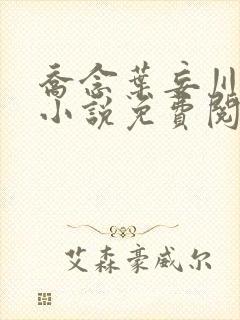 乔念叶妄川正版小说免费阅读
