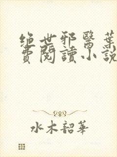 绝世邪医叶凡免费阅读小说