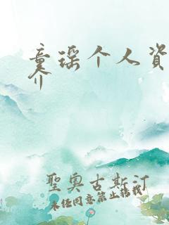 童瑶个人资料简介