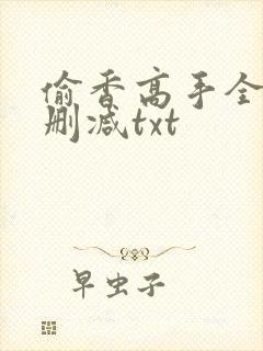 偷香高手全文无删减txt